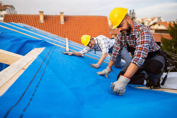 Roof Gutter Cleaning in East Freehold, NJ